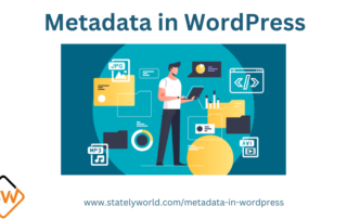 Metadata in wordpress