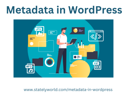 Metadata in WordPress